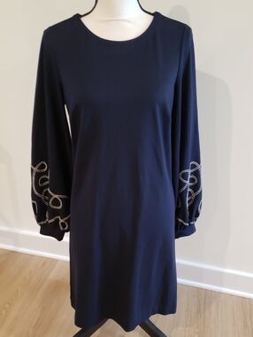 Ann Taylor Navy Dress with Embroidered White Balloon Sleeves